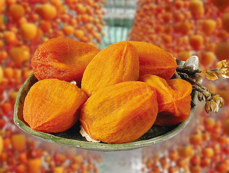 Hồng treo gió Đà Lạt