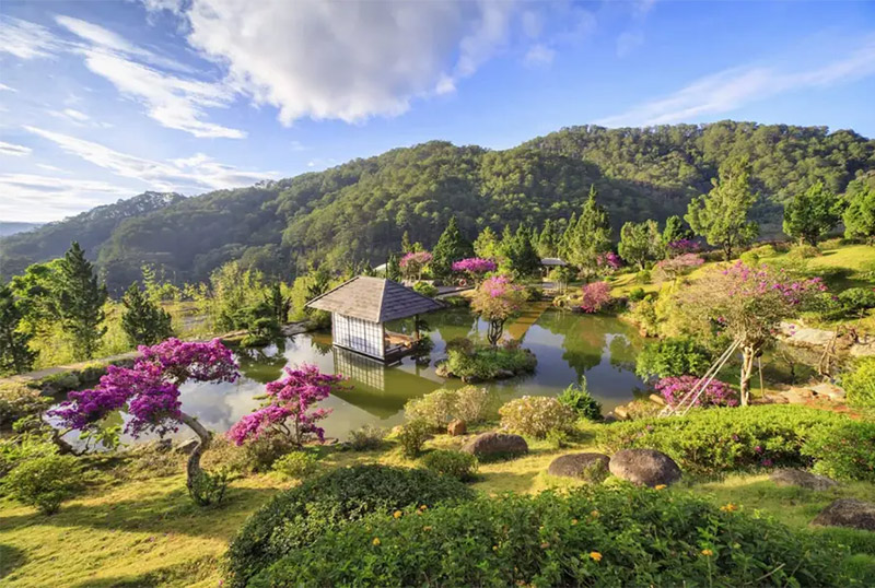 QUE Garden - Thiên đường bonsai phong cách Nhật Bản