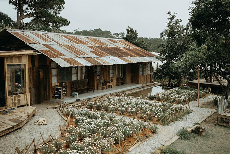 Tiệm cà phê Túi Mơ To Đà Lạt