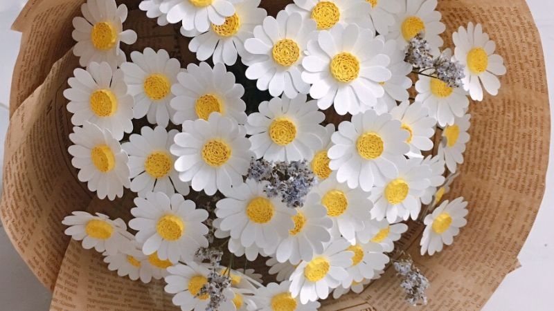 Bó hoa cúc handmade bằng giấy