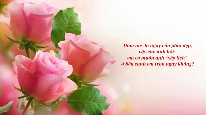 Ảnh hoa hồng kèm caption lãng mạn ngày 20/10