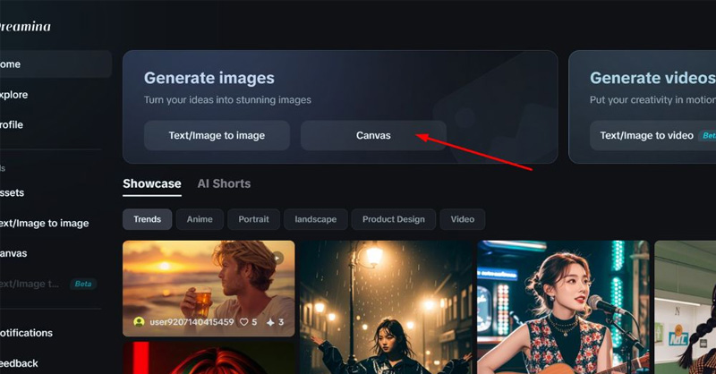 Nhấn chọn mục Canvas 