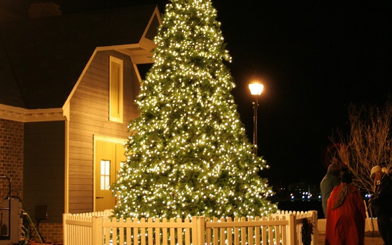 Cây thông Noel lớn thắp sáng ngoài trời ban đêm
