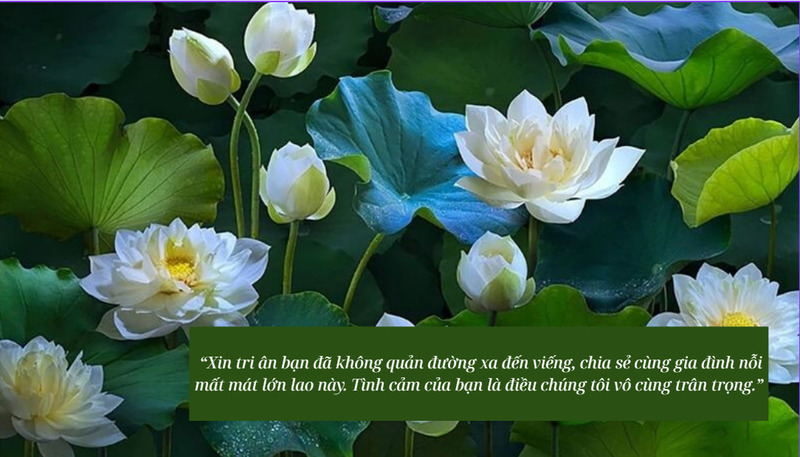Lời cảm ơn gửi đến bạn bè và người thân