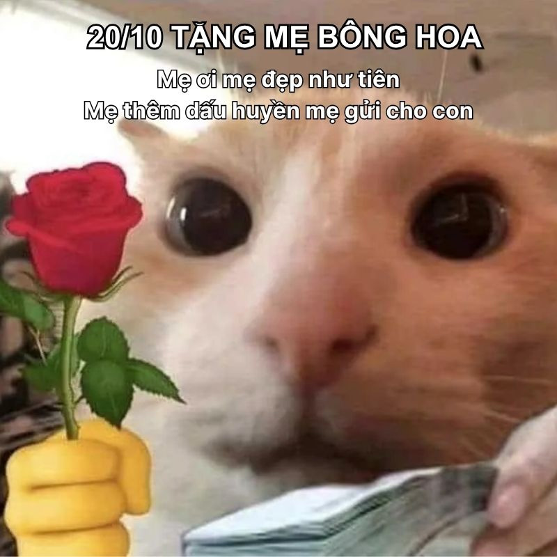 Lưu ngay meme 20/10 vui nhộn tặng mẹ