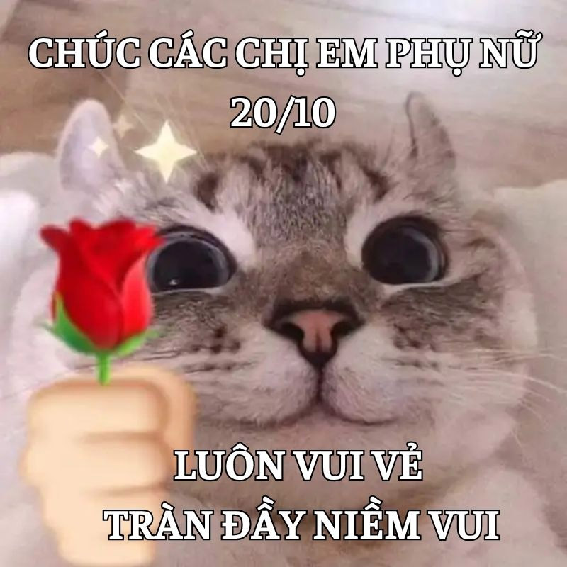 Lưu ngay meme chúc đồng nghiệp 20/10 luôn vui vẻ