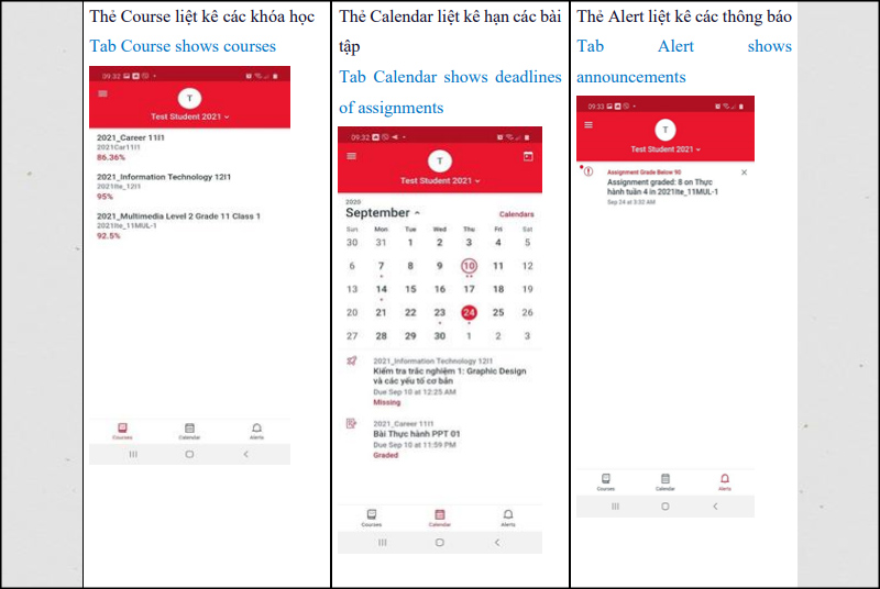 Sử dụng Canvas LSTS như thế nào