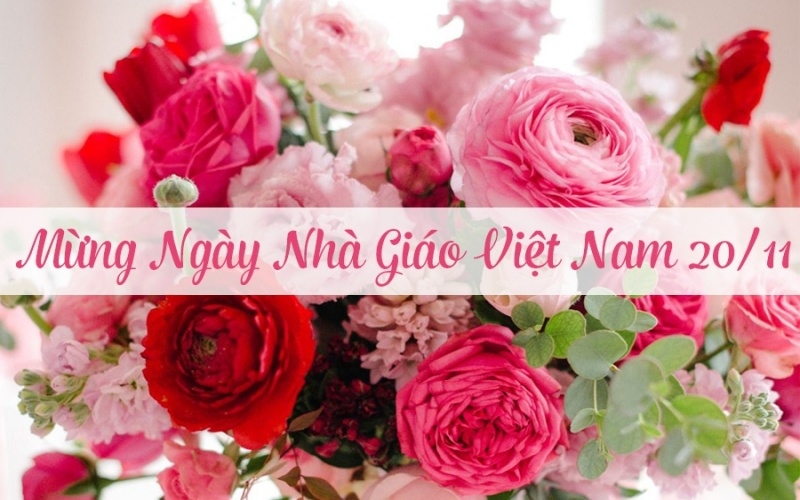 Hình hoa tươi rực rỡ kèm dòng chữ Mừng Ngày Nhà Giáo Việt Nam 20/11