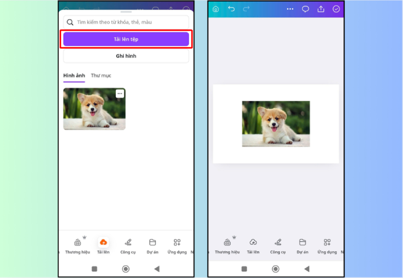 Tải ảnh lên Canva bằng điện thoại trước khi chỉnh sửa