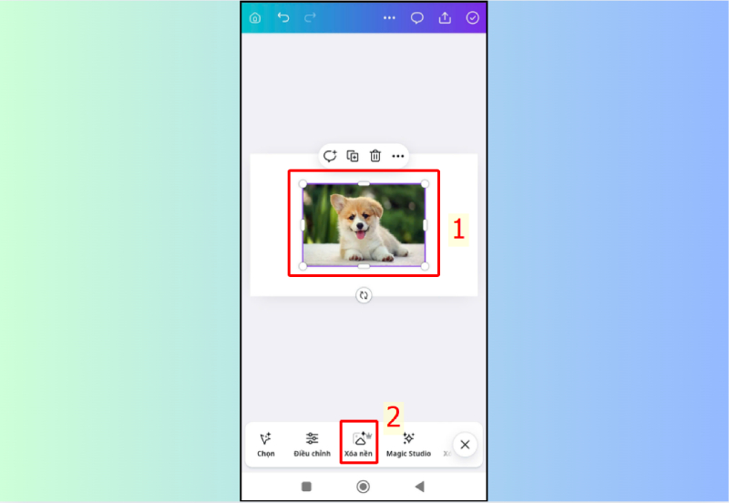 Chọn ảnh và nhấn tính năng Xóa nền trong Canva