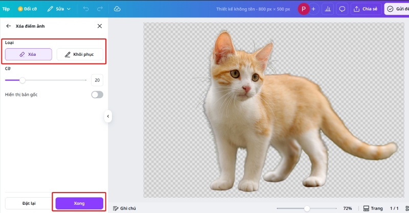 Ảnh mèo sau khi xóa nền hoàn tất bằng công cụ Canva