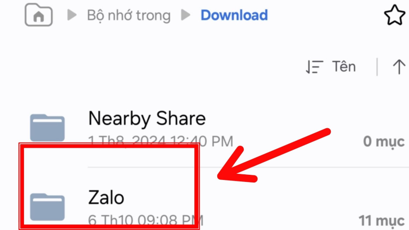 Trong mục Download chọn tiếp mục Zalo