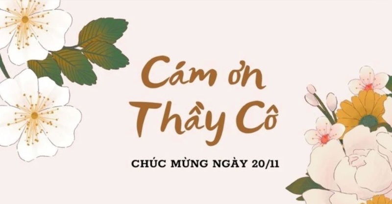 Tổng hợp 95+ Hình ảnh 20/11 ý nghĩa dành tặng thầy, cô giáo