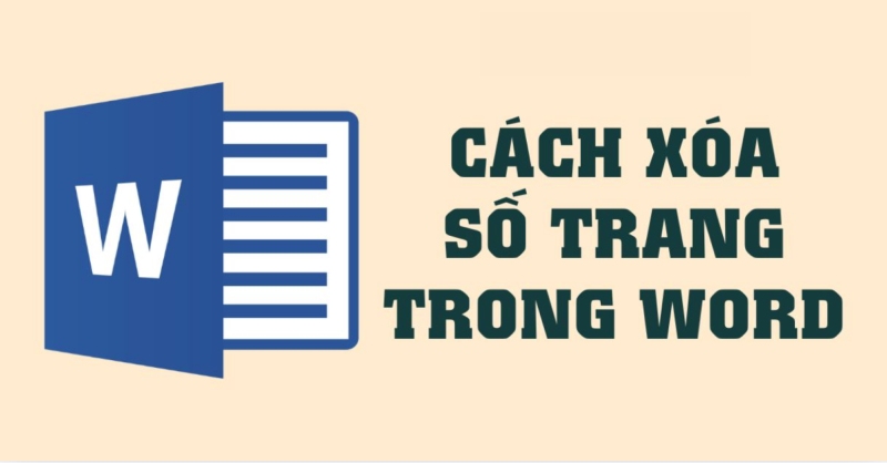 Cách xóa số trang trong Word chi tiết, dễ thực hiện