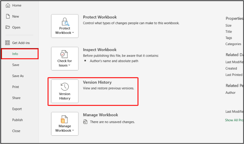 Mở Version History trong mục Info