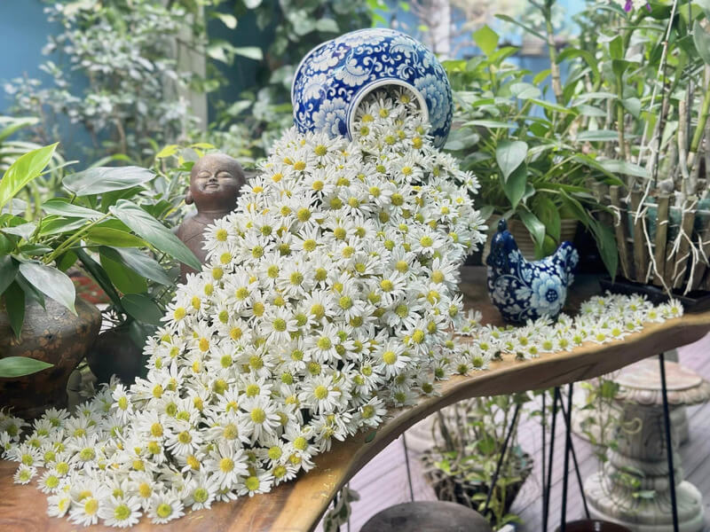 Cắm hoa kiểu thác đổ