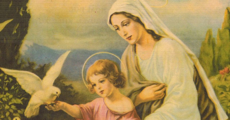 Bài hát Cao Cung Lên