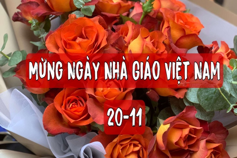 Hoa hồng cam mừng ngày Nhà giáo Việt Nam 20/11