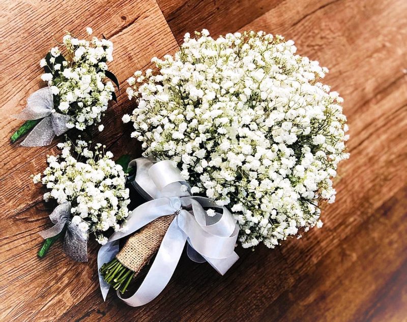 Hoa baby trắng tinh khôi