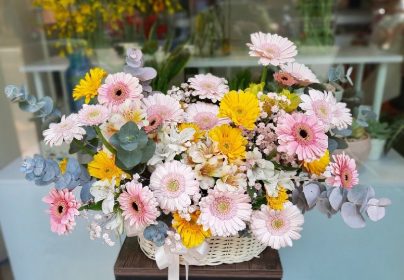 Giỏ hoa đồng tiền pastel tươi sáng