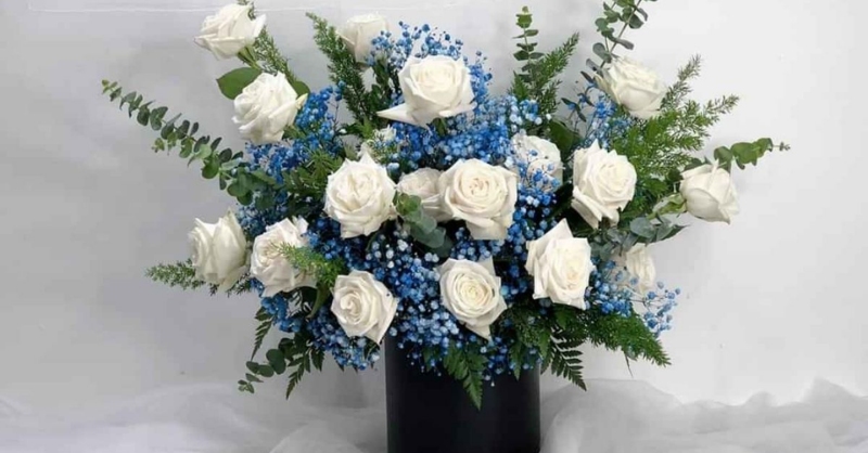 Hình ảnh hoa hồng tone trắng - xanh đẹp mắt