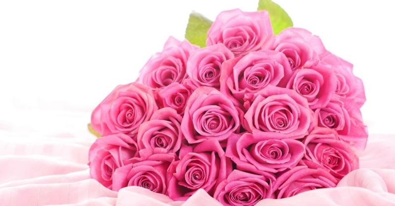 Hình ảnh hoa hồng dành tặng thầy cô ngày 20/11