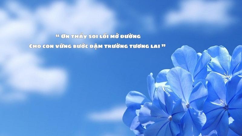 Background Ngày Nhà giáo Việt Nam với trích dẫn hay