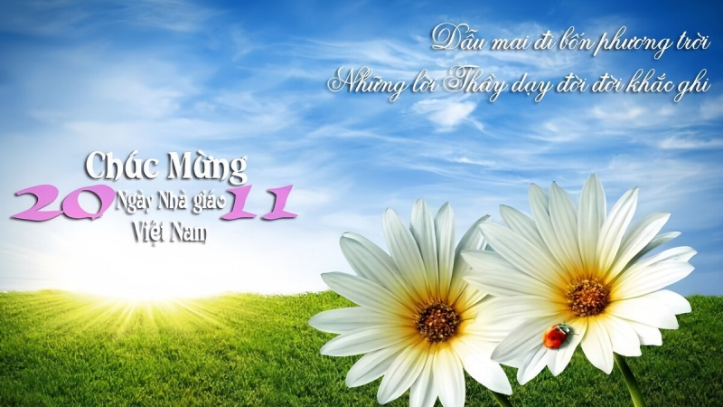 mẫu background 20/11 với thiên nhiên có trích dẫn hay