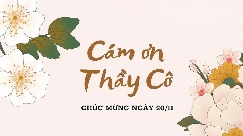 mẫu background 20/11 ý nghĩa cảm ơn thầy cô