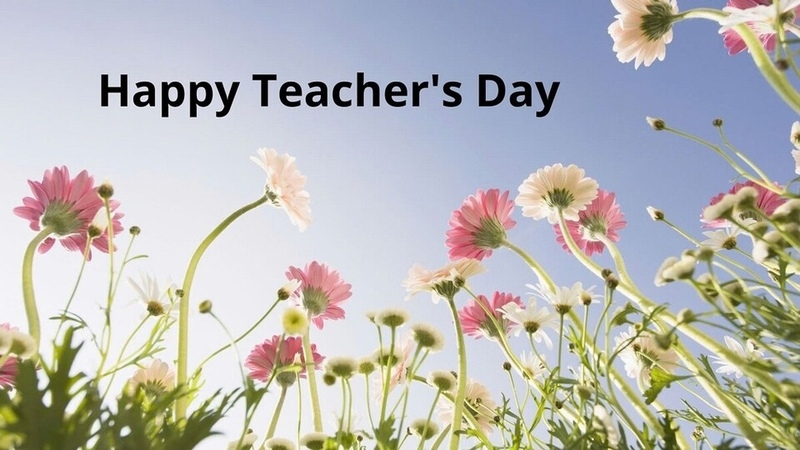 mẫu background 20/11 hoa cỏ