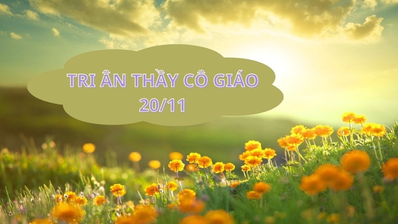 Tri ân thầy cô giáo với background thiên nhiên