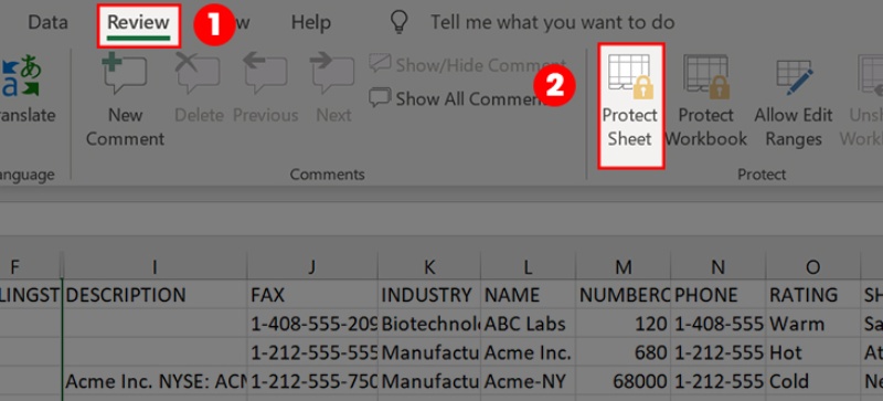 Vào thẻ Review và chọn Protect Sheet