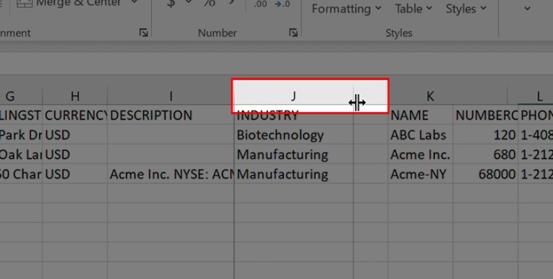 Hiển thị cột bằng cách mở rộng cột bị ẩn bước 2