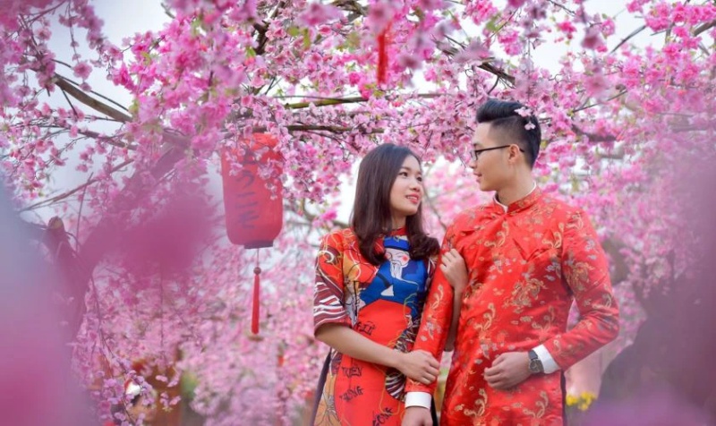 Cặp đôi chụp hình Tết dưới tán hoa đào