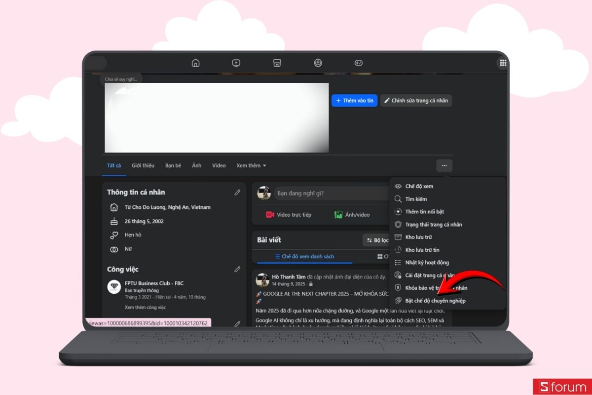 Chọn Bật chế độ chuyên nghiệp
